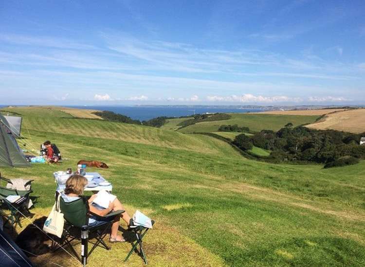 Photos Of Our Top Field Karrageen